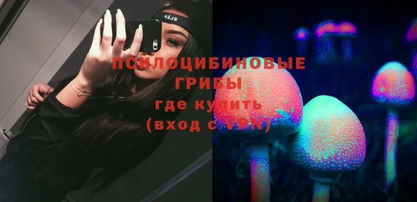 шишки Бронницы