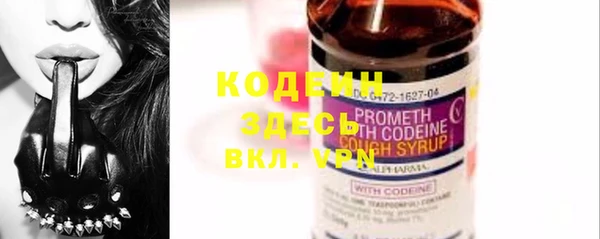 шишки Бронницы