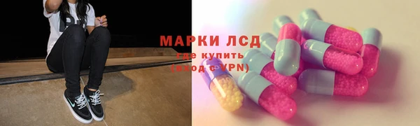 гашик Бородино