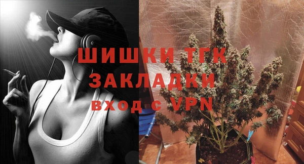 гашик Бородино