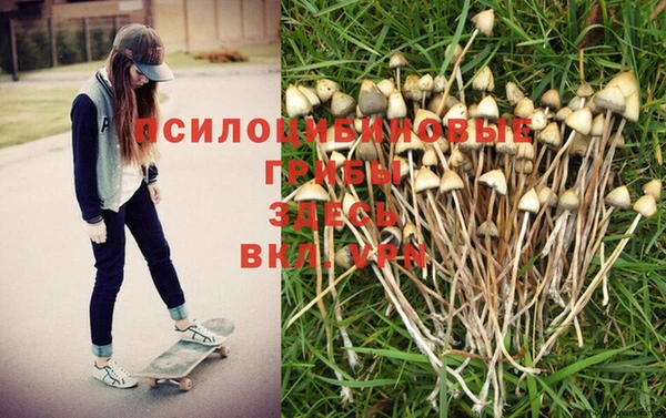 шишки Бронницы