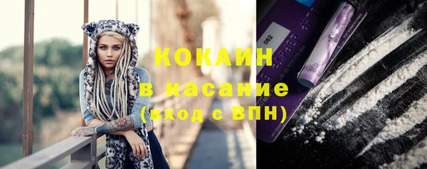 гашик Бородино