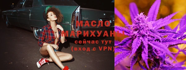 гашик Бородино