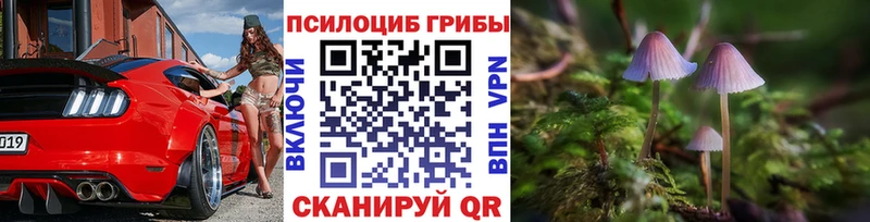 Псилоцибиновые грибы ЛСД  купить  сайты  hydra ссылки  Электрогорск 